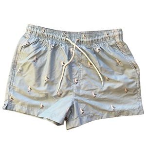 H&M Swim Shorts